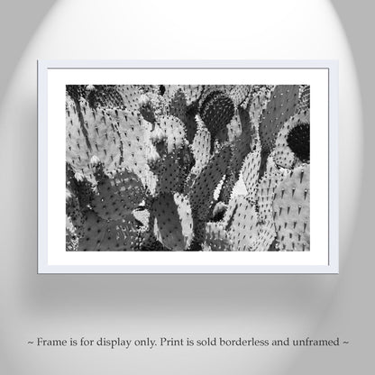 Purple Prickly Pear Cactus Art – Unique Desert Art for Home
