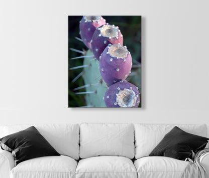 Purple Cactus Botanical Wall Art – Santa Rita Prickly Pear Art