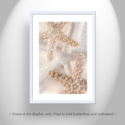 Starfish Seashells Bathroom Wall Art as Gift for Home