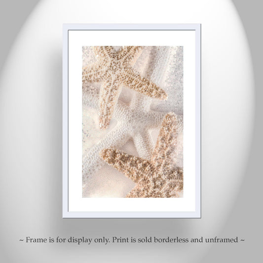 Starfish Seashells Bathroom Wall Art as Gift for Home