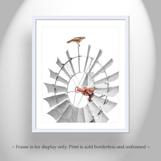 Hawk and Windmill Minimalist Art Print – Sonoita Arizona Ranch Scene