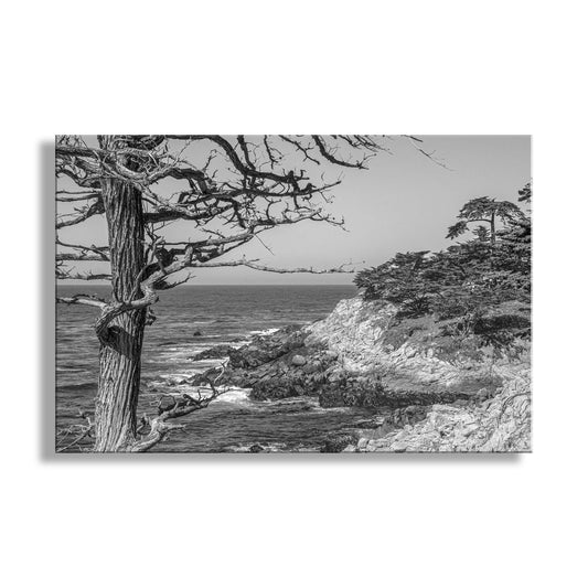 Black and White Carmel by the Sea Monterey California Coast Art Print