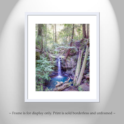 Big Basin California Redwood Forest Waterfall Vertical Art Print