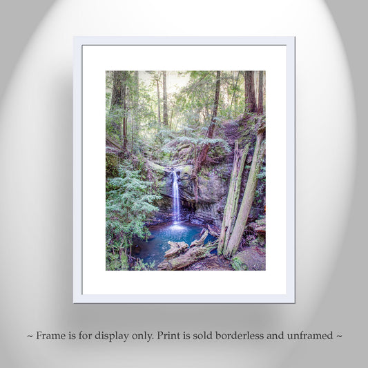 Big Basin California Redwood Forest Waterfall Vertical Art Print