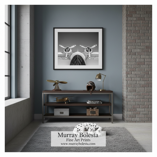 Seaplane Flying Boat Art | Black and White Aviation Print