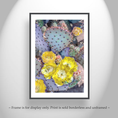 Santa Rita Prickly Pear Art – Desert Cactus Nature Wall Decor