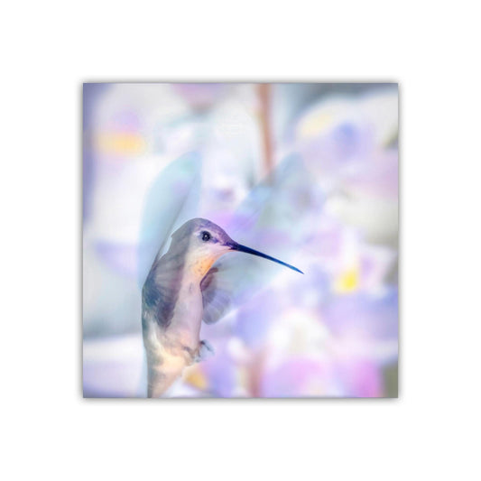 Hummingbird in Flight Art in Pastel Blue | Gift for Bird Lovers