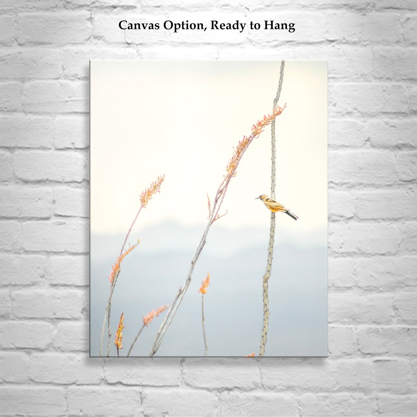 Pastel Minimalist Bird Art – Yellow Warbler on Ocotillo Print | Tucson