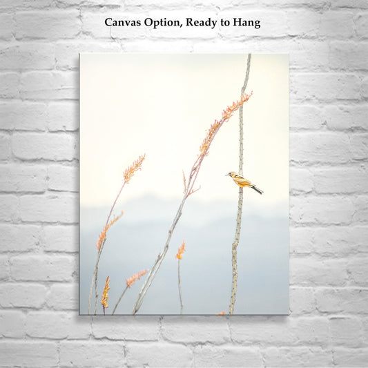 Pastel Minimalist Bird Art – Yellow Warbler on Ocotillo Print | Tucson
