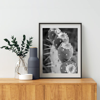 Santa Rita Cactus Fruit Black and White Desert Botanical Wall Art