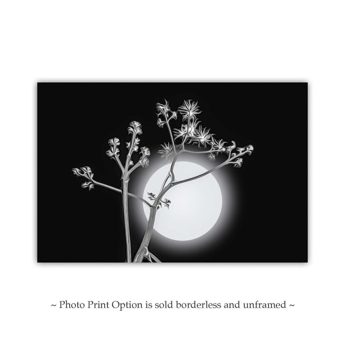 Surreal Desert Moon and Agave Art in Black and White Canvas Art Print