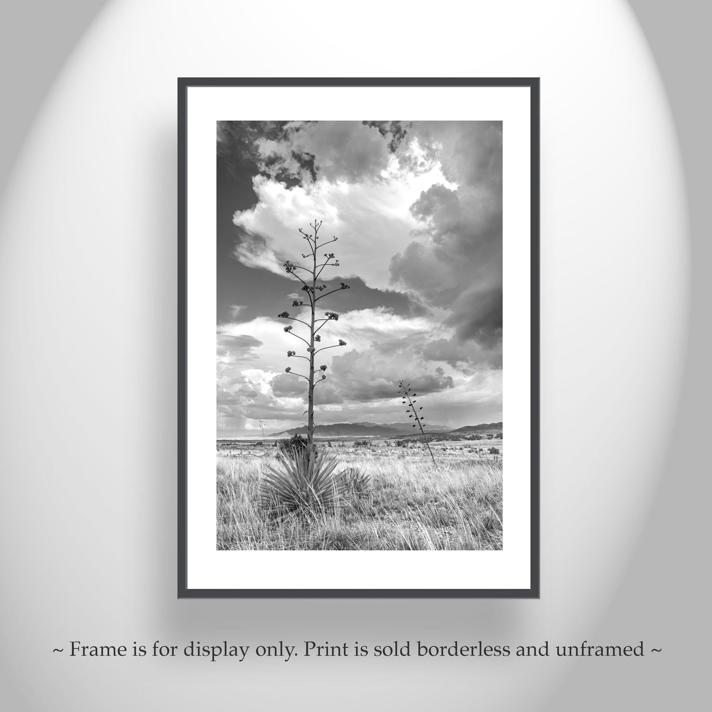 Southern Arizona Monsoon Landscape | Black and White Wall Art Print