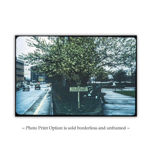 Iconic Georgia Peach Wall Art – Vintage Peachtree Street Photo