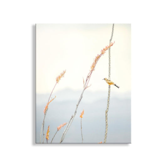 Pastel Minimalist Bird Art – Yellow Warbler on Ocotillo Print | Tucson