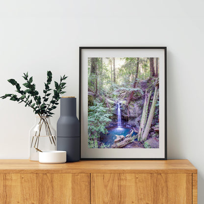 Big Basin California Redwood Forest Waterfall Vertical Art Print
