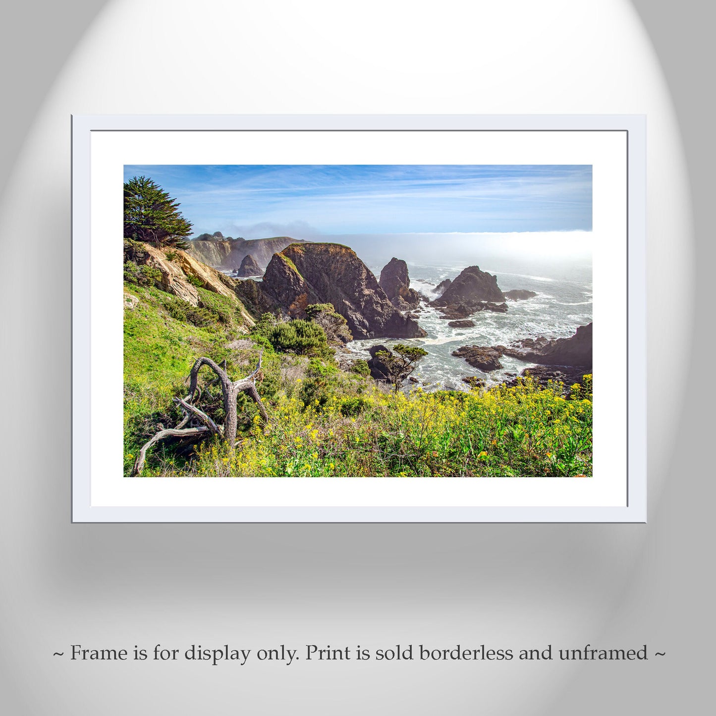 Mendocino Coast Art Print at Fort Bragg California