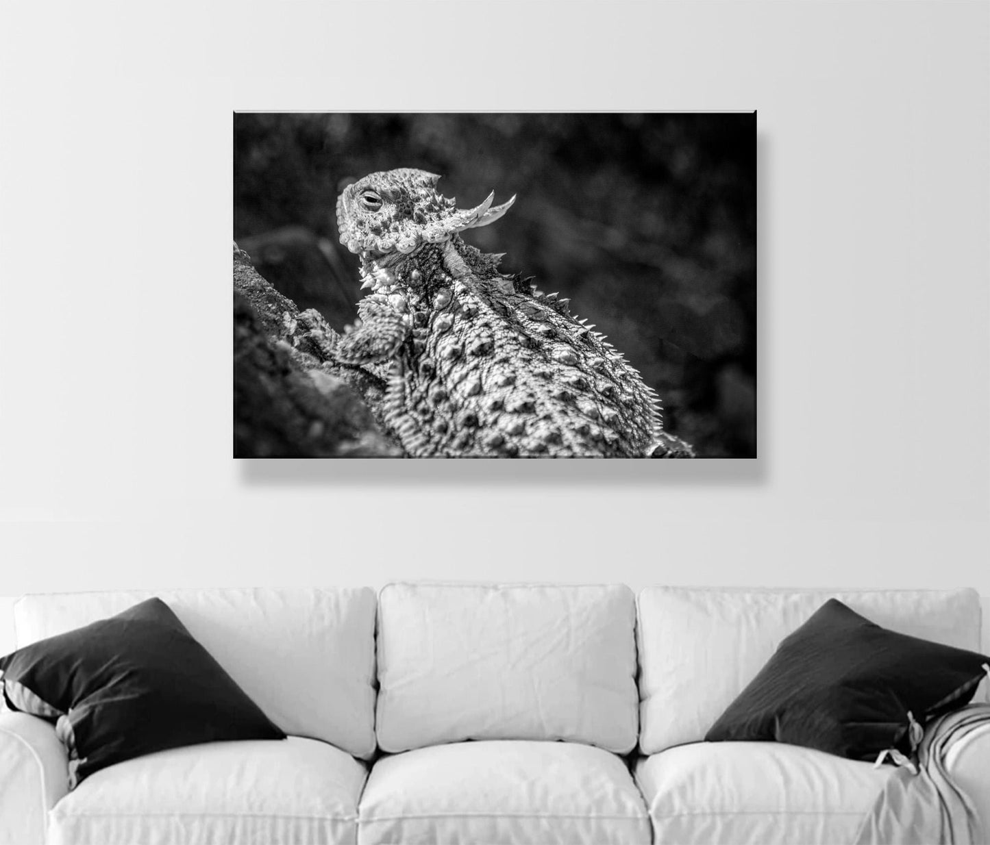Horned Frog Art Print | Black & White Arizona Desert Reptile Art