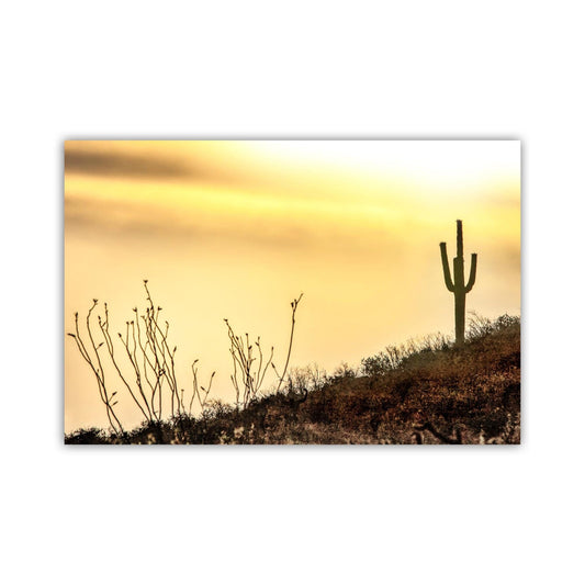 Tohono O'odham Nation Sunset Cactus Art – Tucson Desert Print