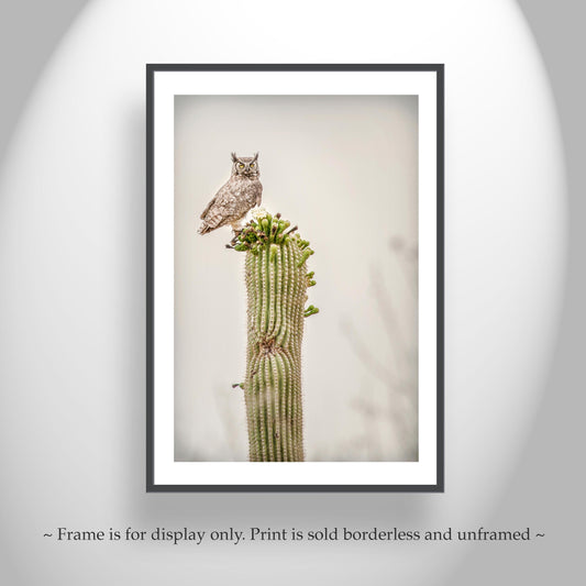 Owl Print in Sepia with Desert Cactus | Rustic Southwest Wall Decor