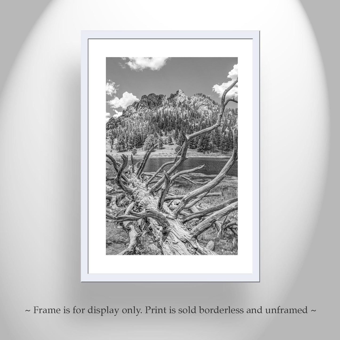 Colorado Photography in Black and White with Rocky Mountain Lake