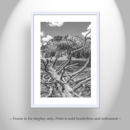 Colorado Photography in Black and White with Rocky Mountain Lake
