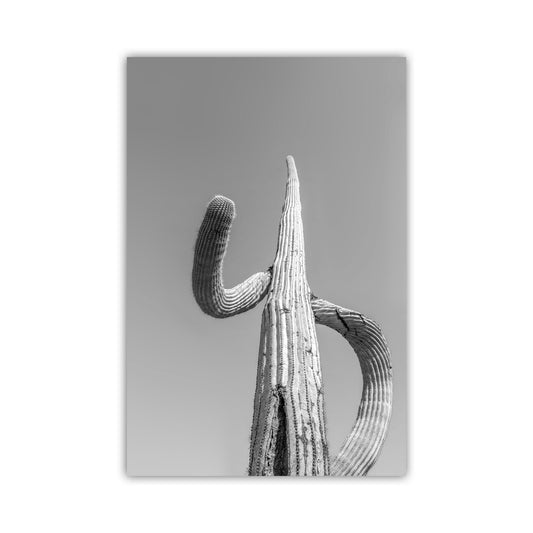 Large Saguaro Cactus Art Print | Arizona Desert Wall Decor