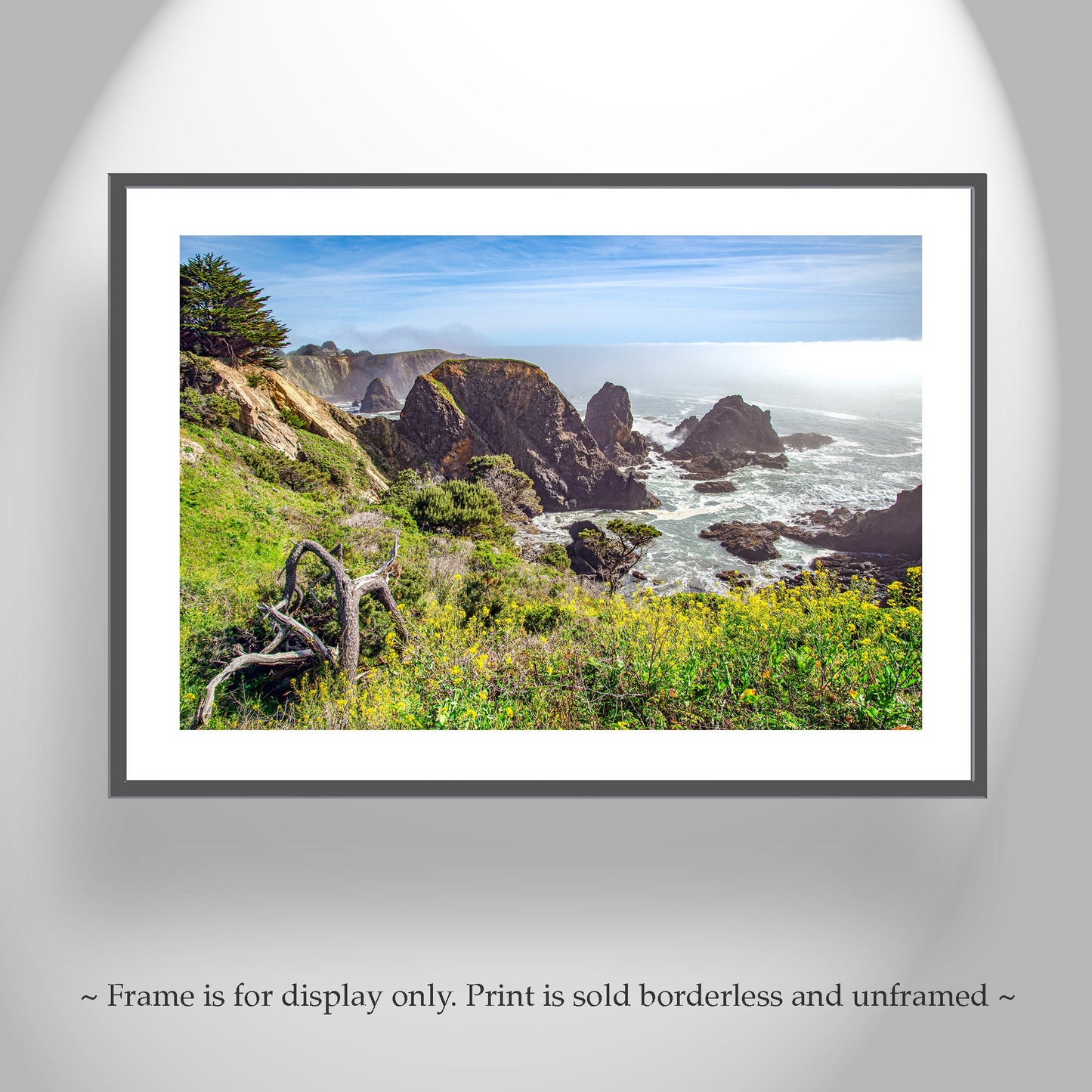 Mendocino Coast Art Print at Fort Bragg California
