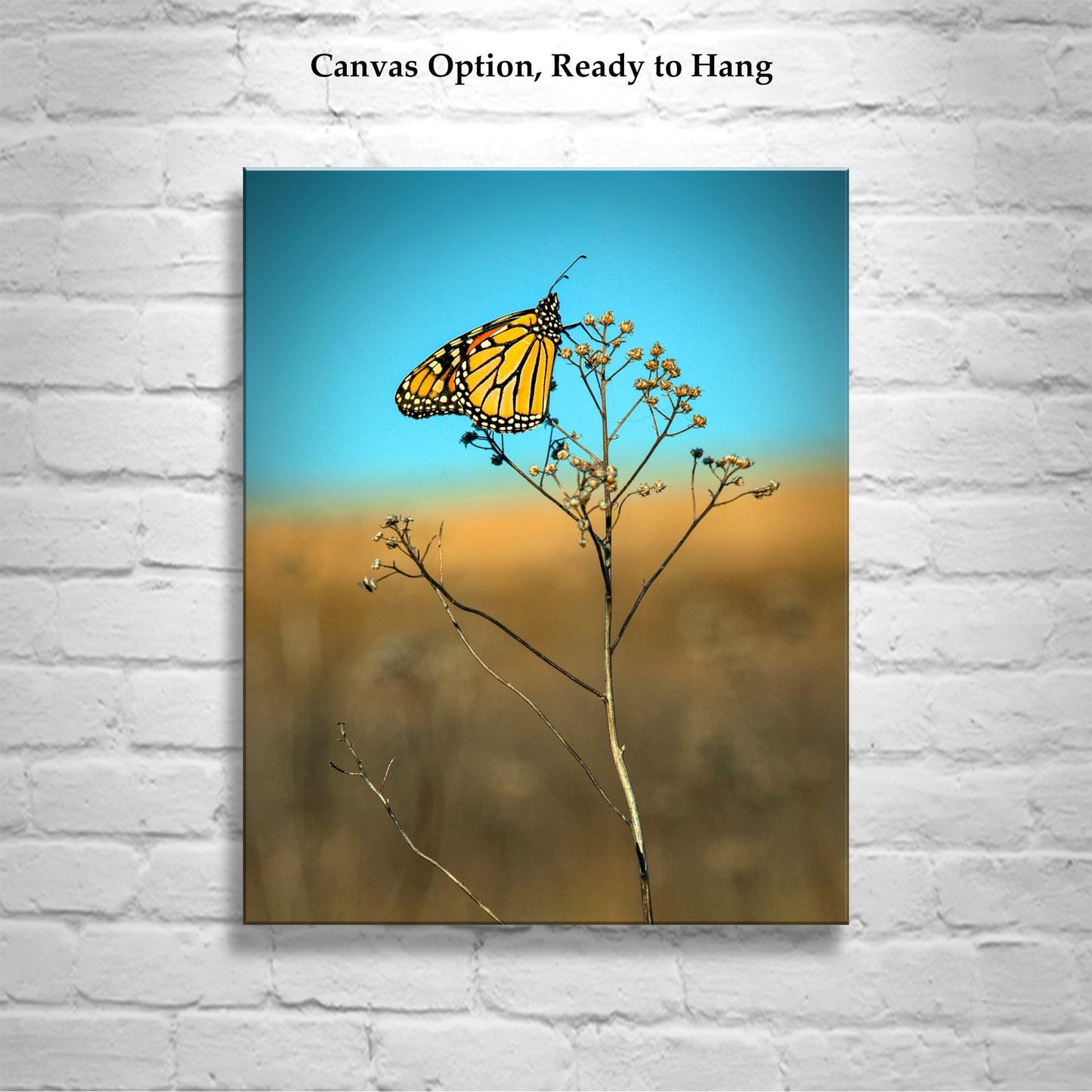 Monarch Butterfly Fine Art Print | Unique Original Nature Wall Decor