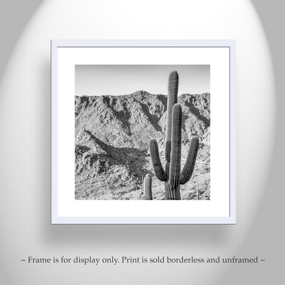 Square Black and White Desert Landscape Cactus Wall Decor