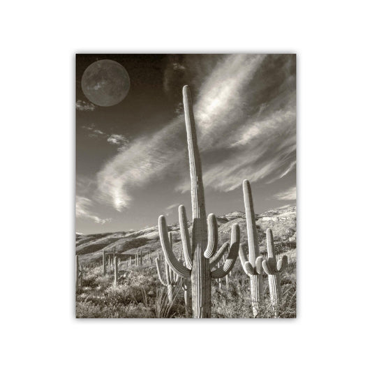 Surreal Desert Cactus Moon Art | Southwestern Wall Decor in Sepia
