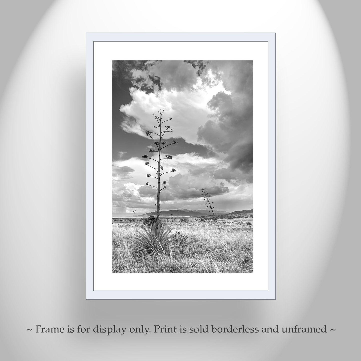 Southern Arizona Monsoon Landscape | Black and White Wall Art Print