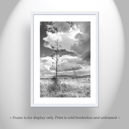 Southern Arizona Monsoon Landscape | Black and White Wall Art Print