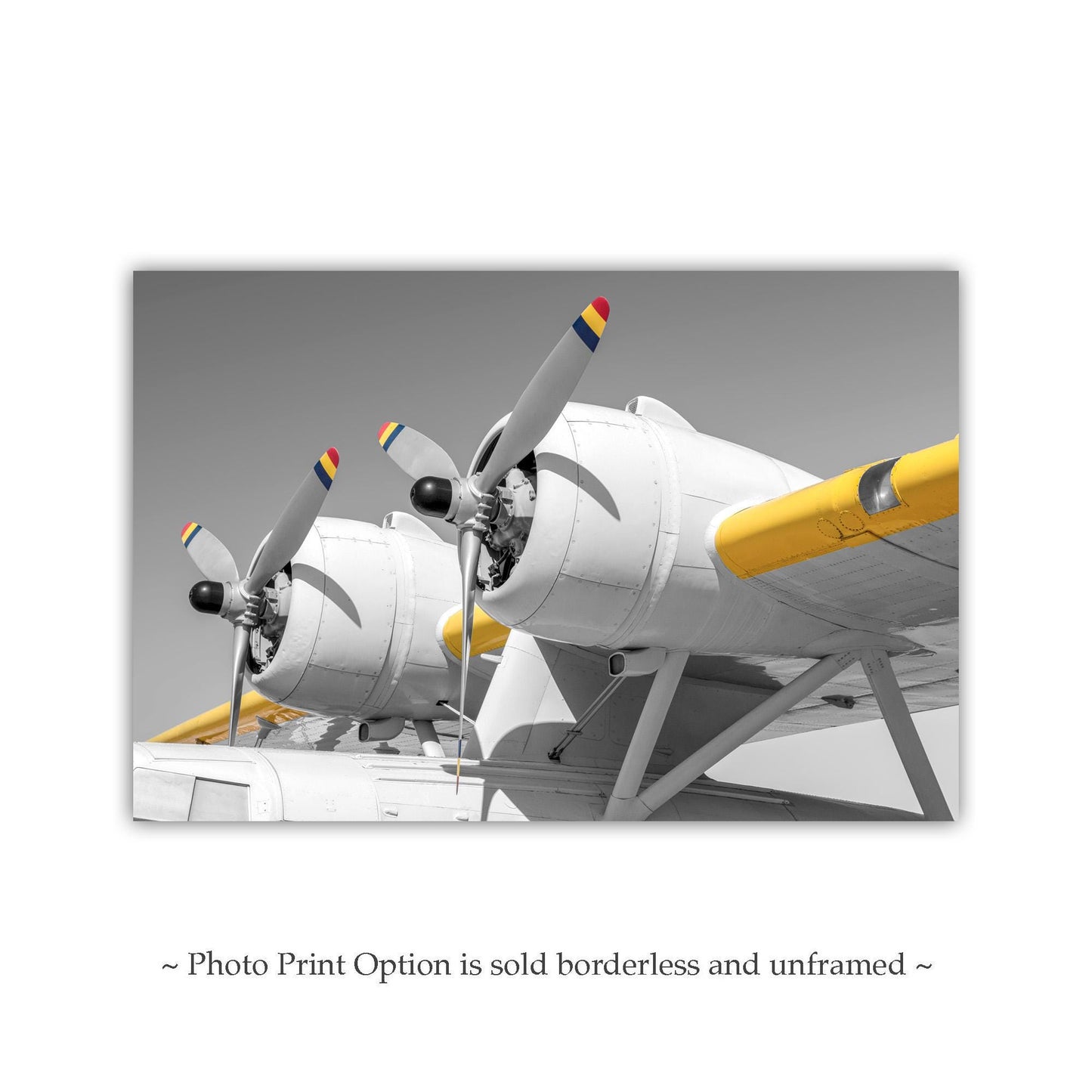 Pan Am Airplane Art with Vintage PBY Flying Boat | Gift for Pilot