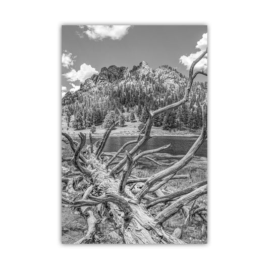 Colorado Photography in Black and White with Rocky Mountain Lake