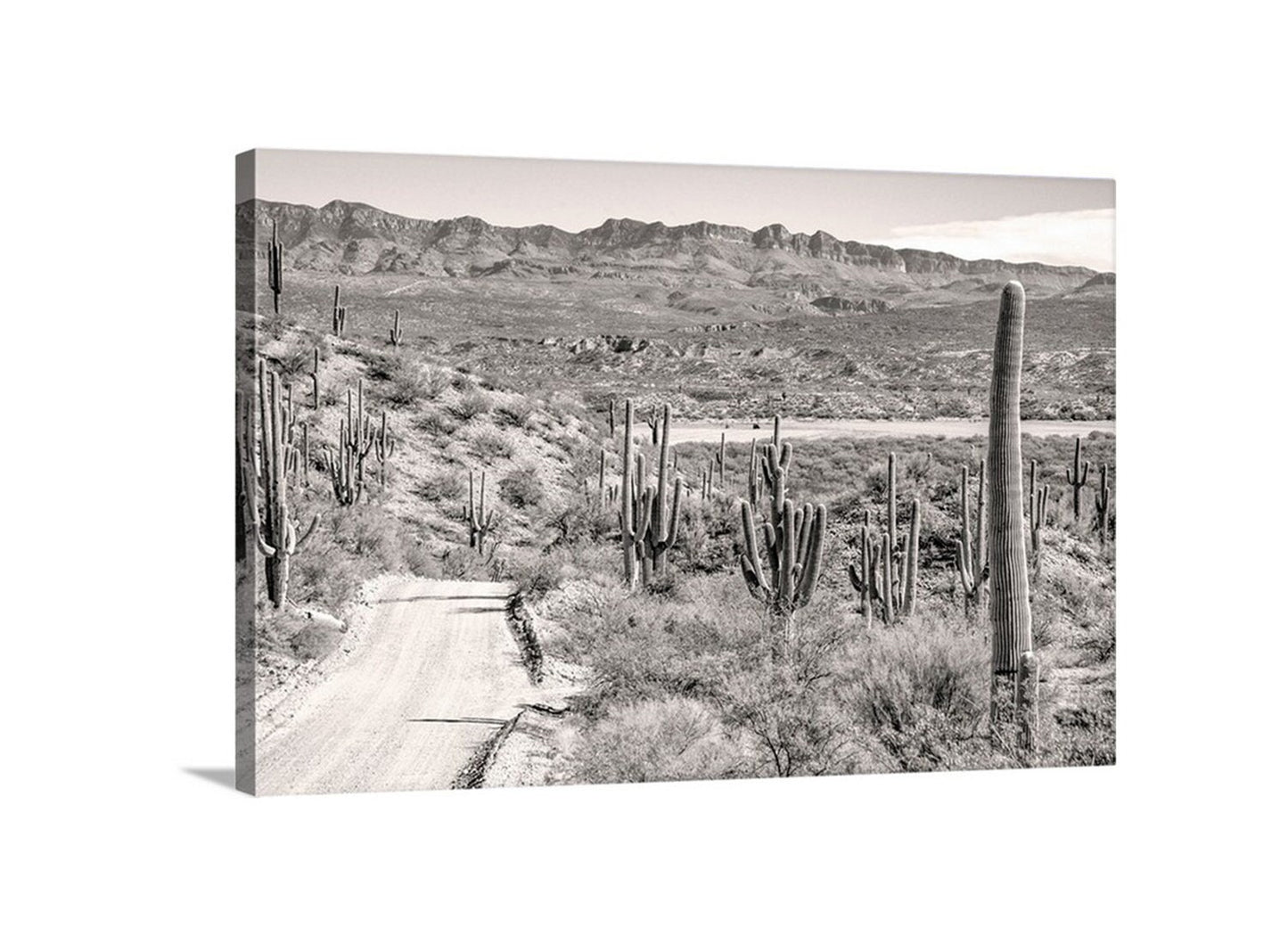 Tucson Arizona Print | Southwestern Desert Road Trip Landscape Art