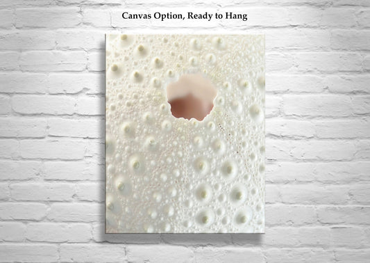 Sea Urchin Fine Art Print | Abstract Wall Decor for Bathroom