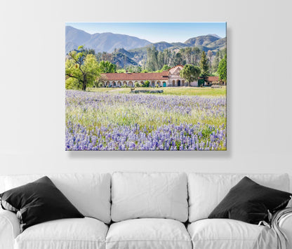 Lompoc Art at Mission San Antonio de Padua | Spring California Wildflowers