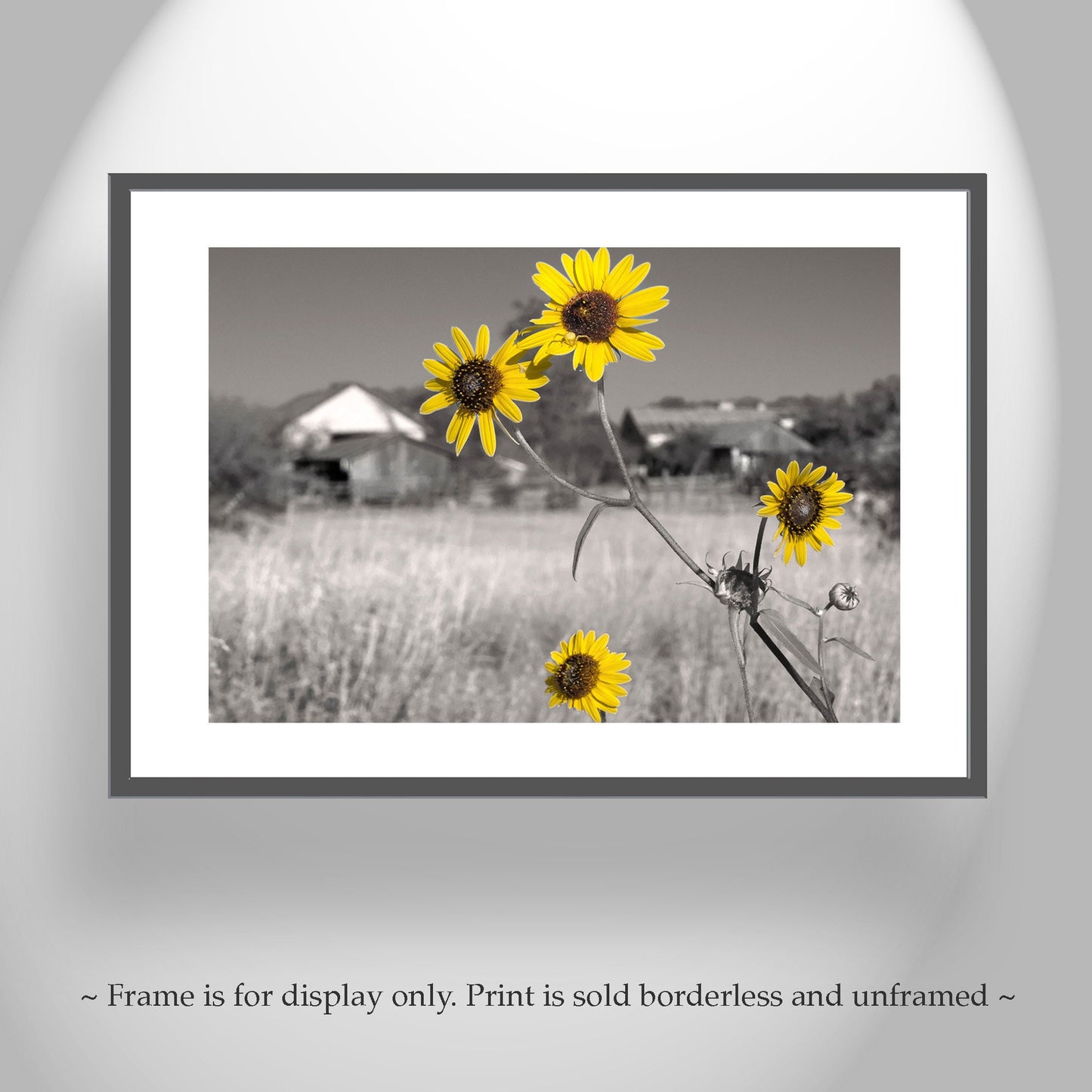 Empire Ranch Arizona Wall Art – Vintage Western Ranch Artwork Set