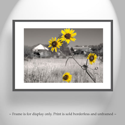 Empire Ranch Arizona Wall Art – Vintage Western Ranch Artwork Set