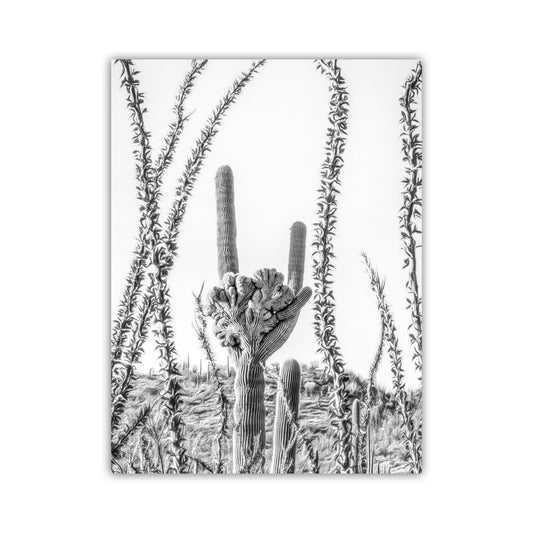 Crested Cactus and Ocotillo Desert Art Art Tucson Arizona