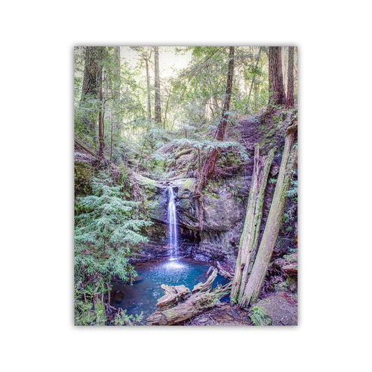 Big Basin California Redwood Forest Waterfall Vertical Art Print