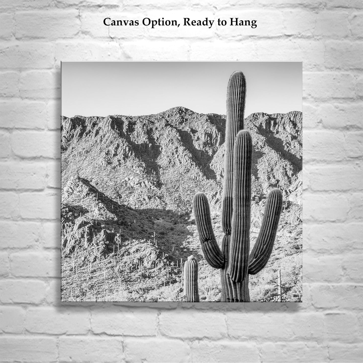 Square Black and White Desert Landscape Cactus Wall Decor