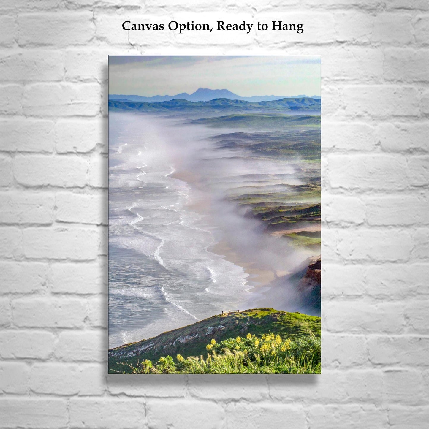 Point Reyes Seashore Marin Coast Art Print | California Beach Wildflowers