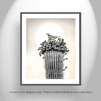 Desert Cactus Bird Artgraph | Southwestern Style Wall Art | Tucson