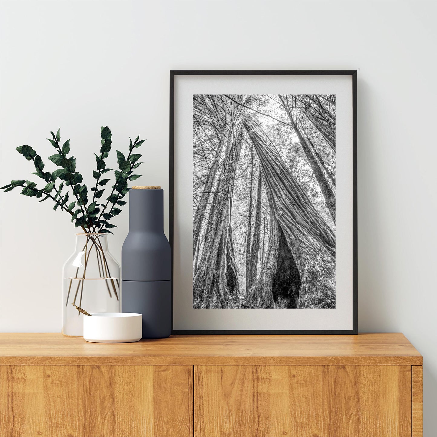 Santa Cruz Redwoods Wall Art – Big Basin Black and White Artwork