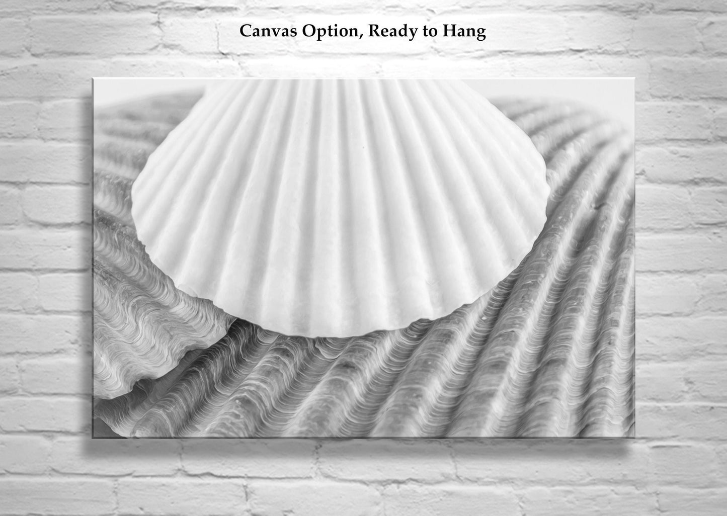 Seashells Wall Decor for Bathroom in Black and White