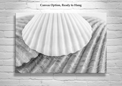 Seashells Wall Decor for Bathroom in Black and White
