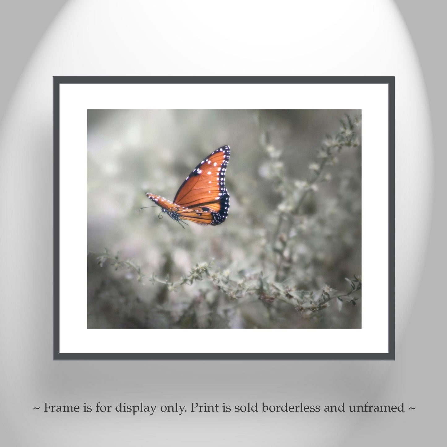Queen Butterfly in Flight – Dreamy Nature Wall Art