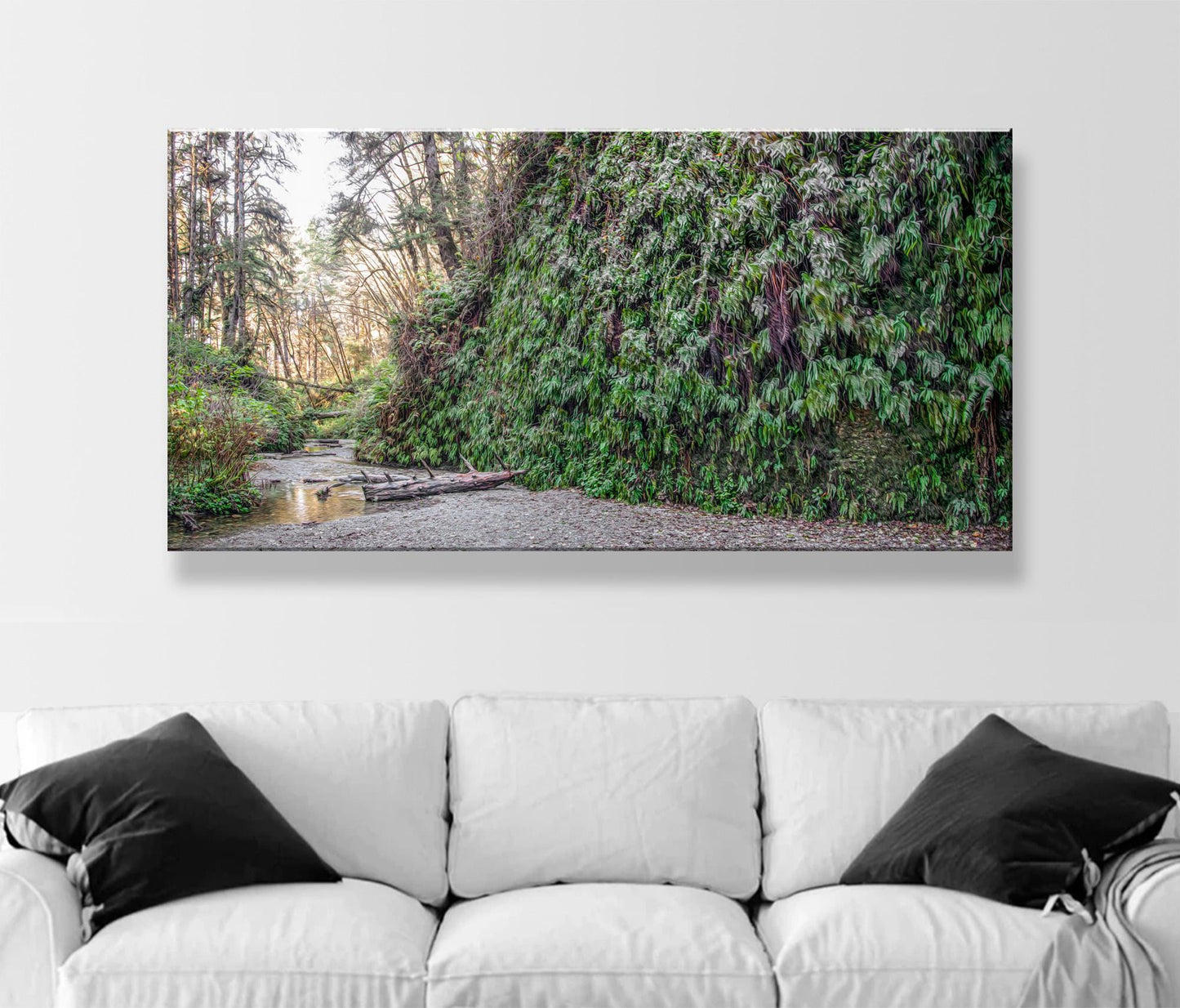 Fern Canyon Redwood Forest Print – Fine Art Panoramic Nature Artwork