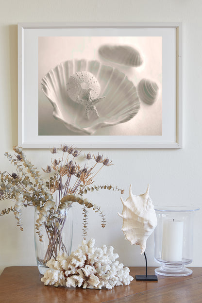 Sea Urchin Seashell Photo as Bathroom Wall Art in Ivory Color
